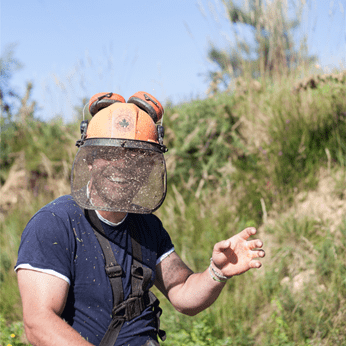 inclusión laboral discapacidad intelectual